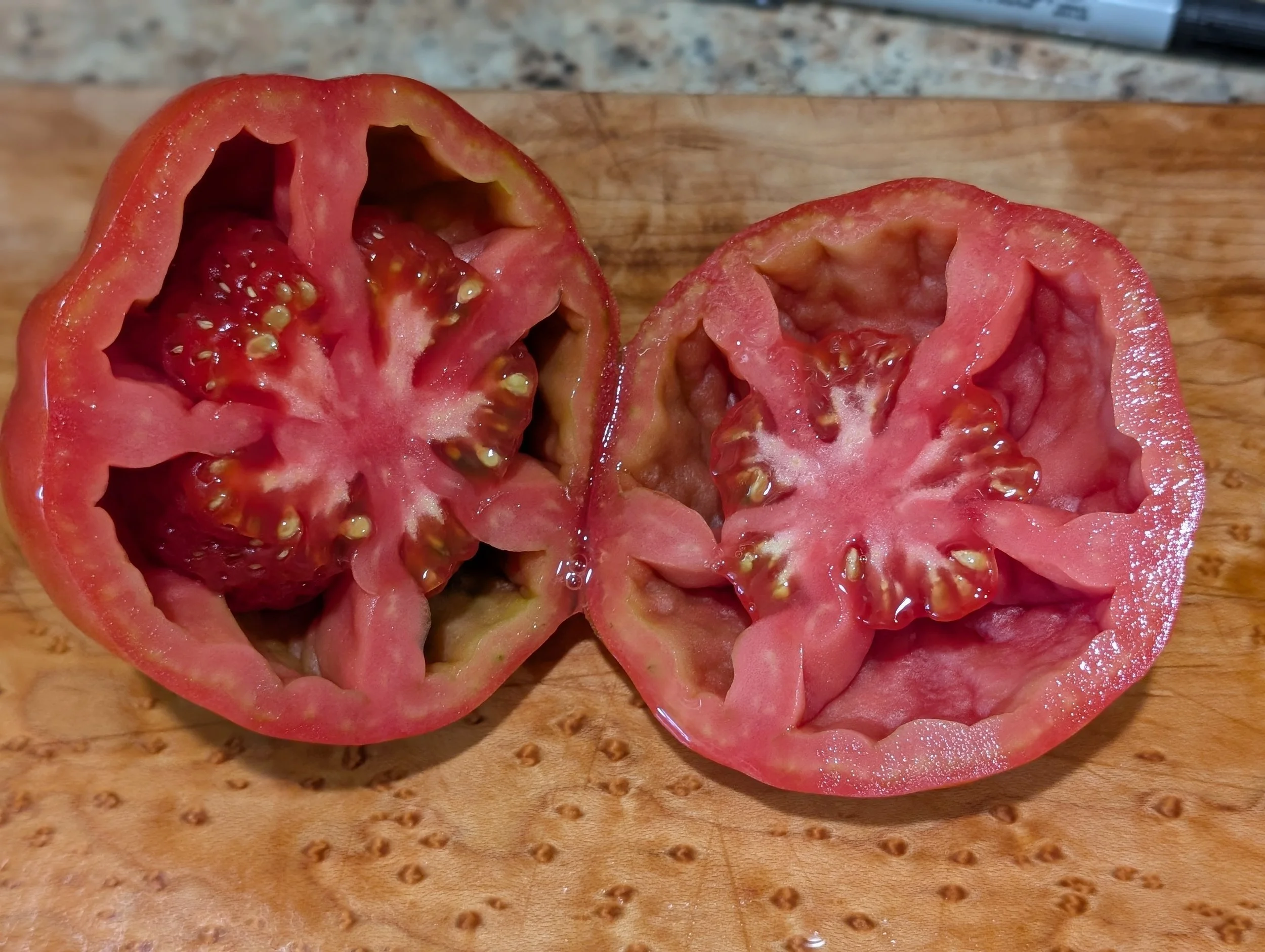 Craig LeHoullier - 2025 Garden Review - Part 3. Last tomatoes